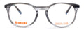Black/Grey transparent Col.3