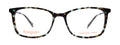 Light Blue + Black Col.2