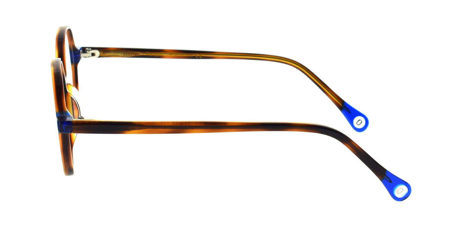 Blue + Havana Col.1