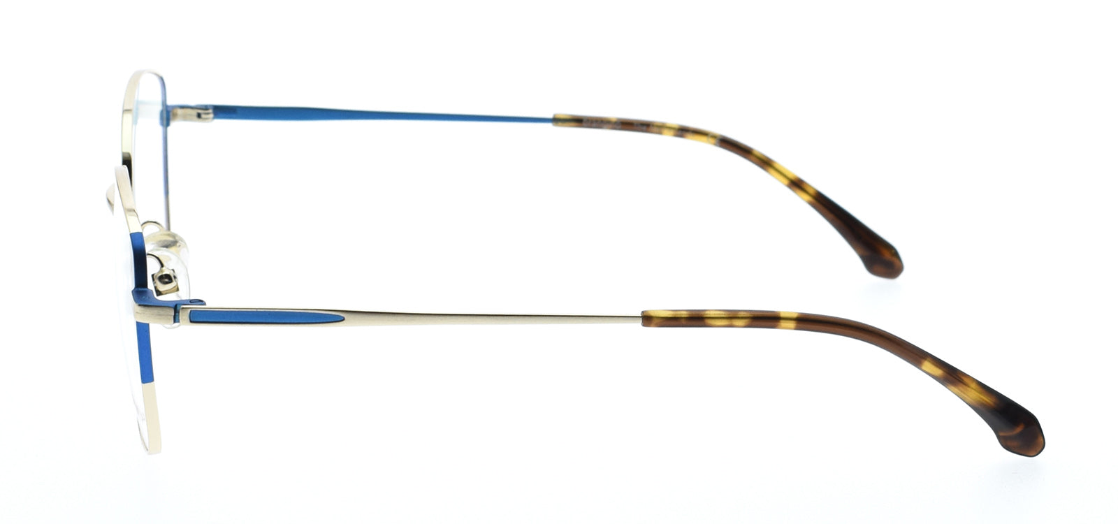 Blue + Gold Col.1