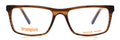 Striped Brown Col.2