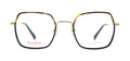 Havana/Blue + Gold Col.1