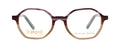 Transparent Purple / Red / Brown Col.1 