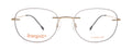 Matte Gold Col.1